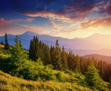 Güzel yaz dağ manzarası. Dağlar gün batımı sırasında mavi rengi. Dramatik sahne. Karpat, Ukrayna, Avrupa. Sanatsal resim. Yumuşak filtre efekti.