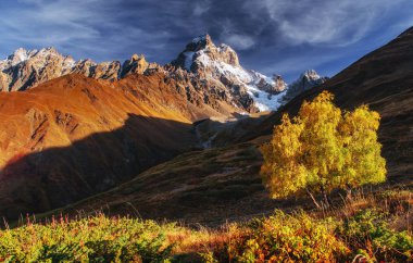 Sonbahar manzara ve güneşin karlı zirveleri. Ana Kafkas Ridge. Mountain View Dağı dır Mheyer, Gürcistan'dan. Europe