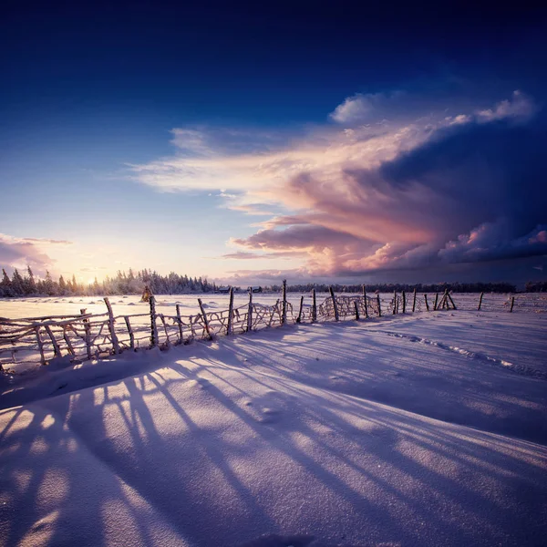 Misterioso Paisaje Invernal Majestuosas Montañas Invierno Árbol Mágico Cubierto Nieve —  Fotos de Stock