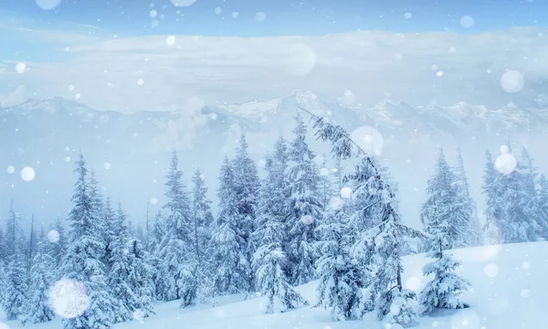 Tajemný Zimní Krajina Majestátní Hory Zimě Pěkná Hustá Mlha Kouzelný — Stock fotografie