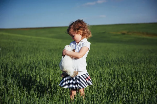 Дитячий Кролик Полі Зеленої Пшениці — стокове фото