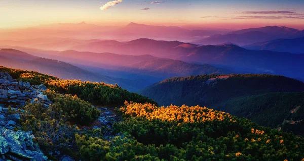 Herrlich Der Sonnenaufgang Schönheitswelt Karpaten Ukraine Europa — Stockfoto