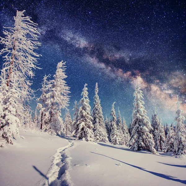 冬の雪の夜の星空を 幻想的な天の川の大晦日 星空雪に覆われた冬の夜 天の川は 幻想的な大晦日です 山の冬道 — ストック写真