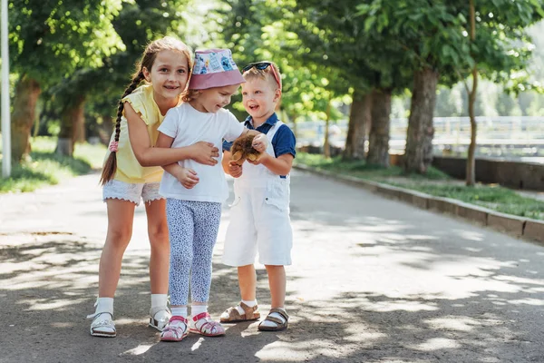 Lovely Cute Kids Playing Park Beautiful Summer Sunny Day — Stock Photo, Image