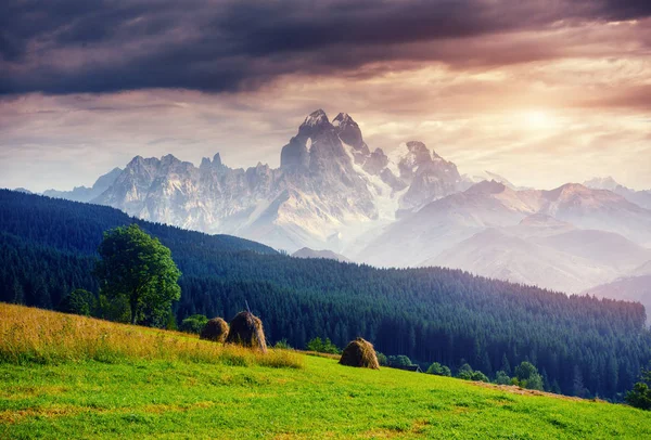 Alpes Montanha Prado Tranquila Vista Verão Europa — Fotografia de Stock