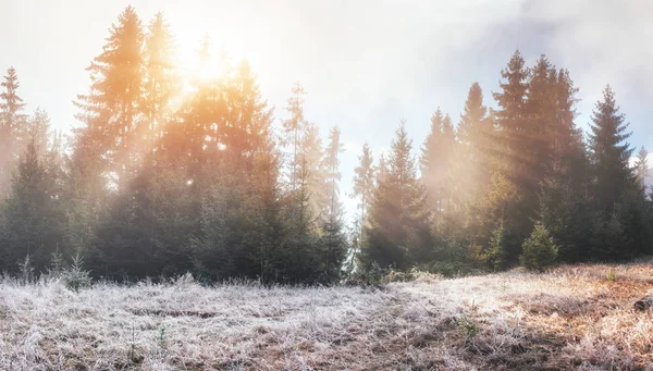 Fantastique Lumière Soleil Matin Fantastique Brouillard Dans Les Montagnes Octobre — Photo