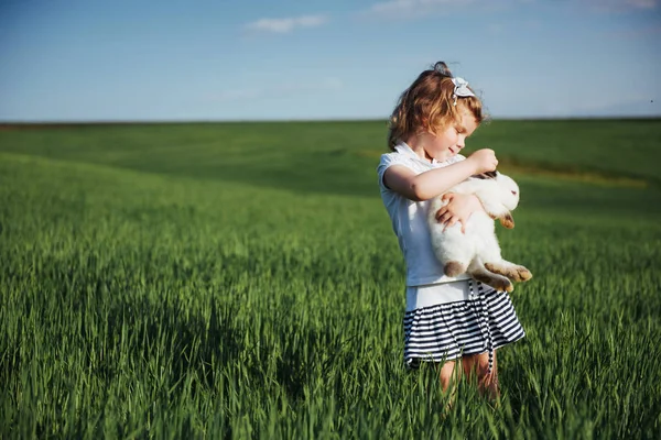 Baby Rabbit Field Green Wheat — Stock Photo, Image