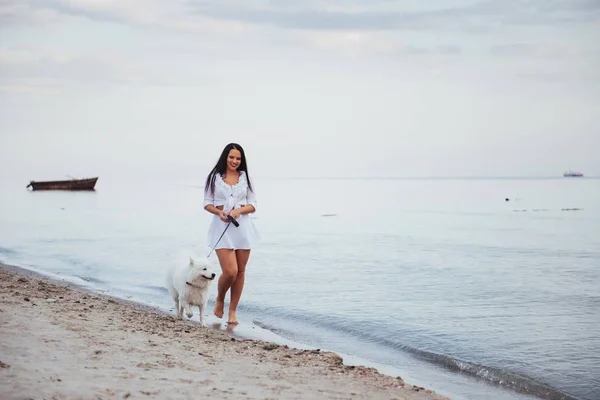 Yürüyen Bir Köpek Ile Sahilde Güzel Esmer Kadın — Stok fotoğraf