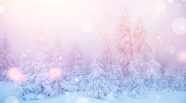 Зимові Краєвид Дерева Іній Фон Деякі Які Моменти Сніг Пластівці — стокове фото