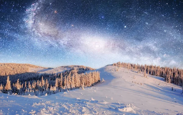 Cielo Stellato Nella Notte Nevosa Invernale Fantastica Lattea Capodanno Gentile — Foto Stock