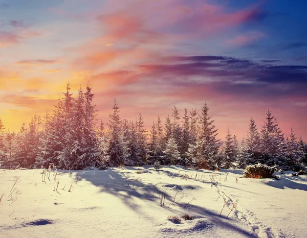 Fantasztikus Téli Táj Kopott Ösvény Vezet Hegyekbe Naplemente Felkészülés Nyaralás — Stock Fotó