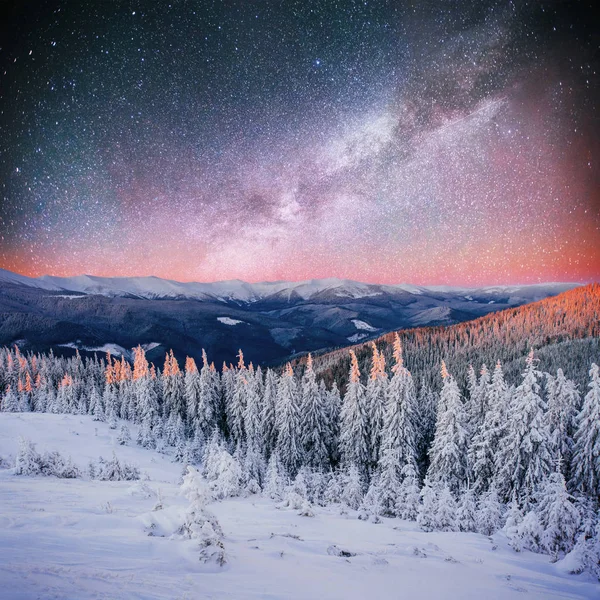 Cielo Stellato Nella Notte Nevosa Invernale Fantastica Lattea Capodanno Cielo — Foto Stock