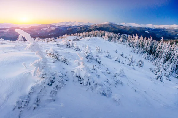 Зимний Пейзаж Волшебный Закат Горах Морозный День Накануне Праздника Драматическая — стоковое фото