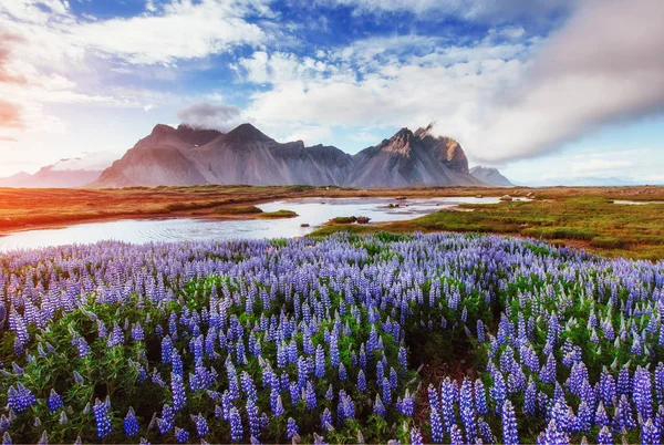 Het Schilderachtige Landschap Van Bossen Bergen Van Ijsland Wilde Blauwe — Stockfoto