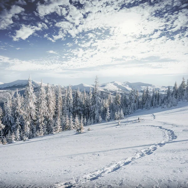 Fantastische Winterlandschap Stappen Iets Bergen Frosty Zonnige Dag Bergen Afwachting — Stockfoto