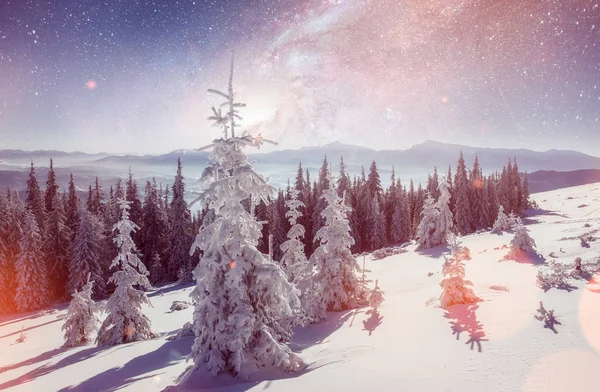 Mleczne Star Trek Zimowym Lesie Sceny Dramatyczne Malownicze Oczekiwaniu Wakacje — Zdjęcie stockowe