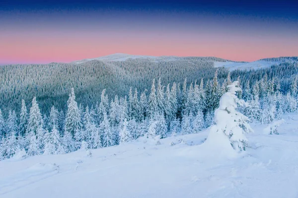 Titokzatos Téli Táj Fenséges Hegyek Télen Mágikus Hóval Borított Felkészülés — Stock Fotó