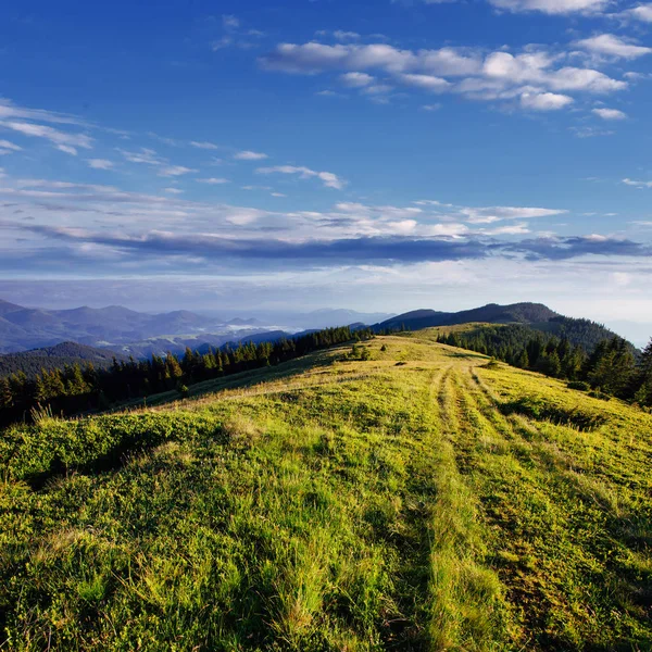 Mooie Zomerse Berglandschap Dramatische Scène Karpaten Oekraïne Europa Artistieke Foto — Stockfoto