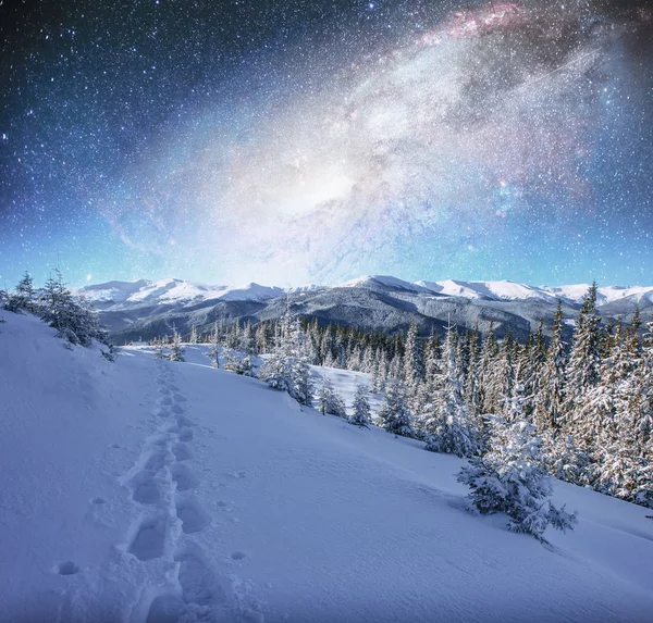 Cielo Stellato Nella Notte Nevosa Invernale Fantastica Lattea Capodanno Lattea — Foto Stock