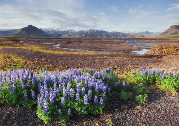 Красивий Краєвид Гір Річок Ісландії — стокове фото