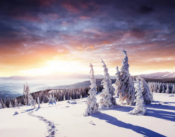 Fantástica Paisagem Inverno Degraus Algo Que Leva Montanhas Dia Gelado — Fotografia de Stock