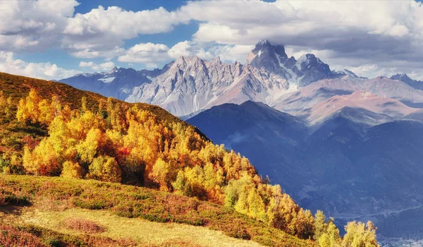 Dichter Nebel Über Dem Passgoulet Georgien Svaneti Europa Kaukasusgebirge — Stockfoto