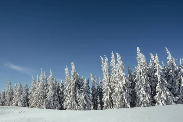 Tajemný Zimní Krajina Majestátní Hory Zimě Kouzelný Zimní Zasněžené Strom — Stock fotografie