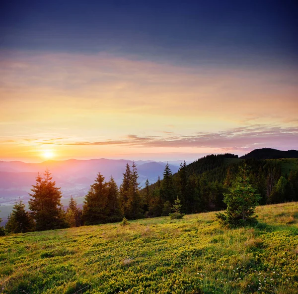 Hermoso Paisaje Montaña Verano Color Azul Las Montañas Durante Puesta — Foto de Stock