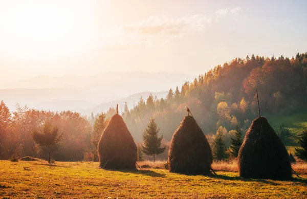 Traditional hay stacks, typical rural scene. Carpathian. Ukraine Europe