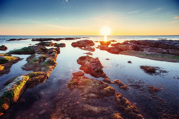 Fantastic View Nature Reserve Monte Cofano Dramatic Scene Sunset Sea — Stock Photo, Image