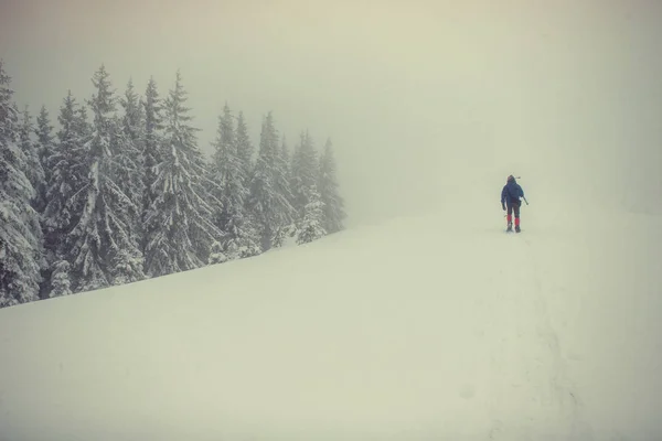 Touristes Dans Les Montagnes Enneigées Carpates Ukraine Europe — Photo