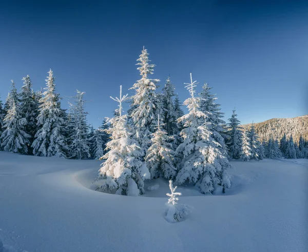 Tajemný Zimní Krajina Majestátní Hory Zimě Magické Zasněžené Strom Očekávání — Stock fotografie