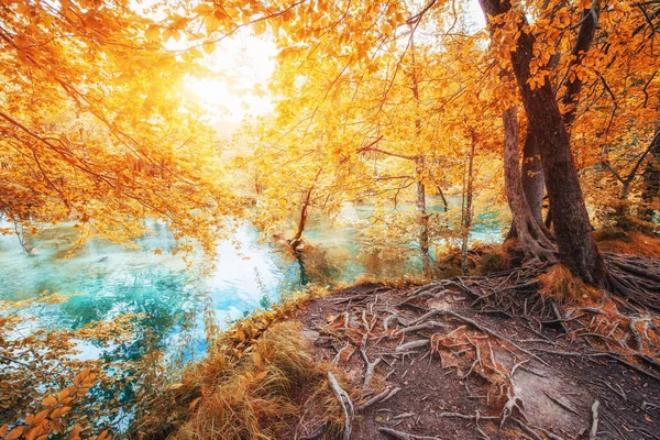 景观周围的绿松石水 普利特维切湖国家公园 克罗地亚 明亮的秋天场面 Instagram 滋补效果 — 图库照片