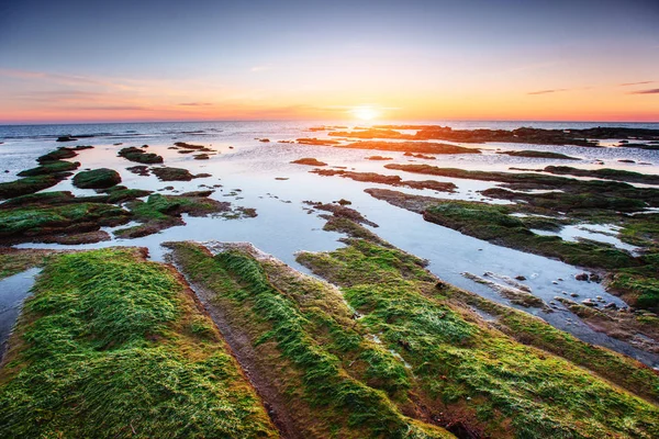 Fantastic View Nature Reserve Monte Cofano Dramatic Scene Sunset Sea — Stock Photo, Image