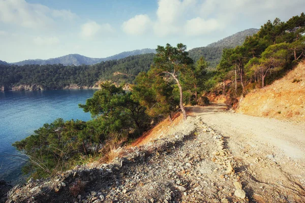 Panoramik deniz kıyısında. Güzellik Dünya Türkiye