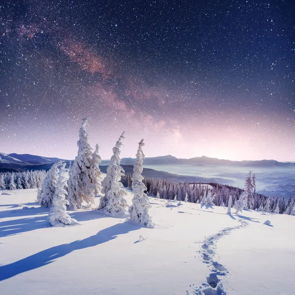 Cielo Stellato Nella Notte Nevosa Invernale Fantastica Lattea Capodanno Strada — Foto Stock