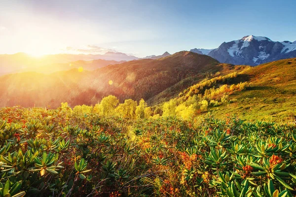 Podzimní Krajina Zasněžené Horské Vrcholy Evropa Ukrajina Karpat — Stock fotografie