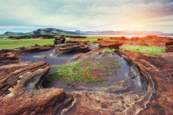 Vulkanische Gesteenten Ijsland Zonsondergang Schoonheid Wereld — Stockfoto