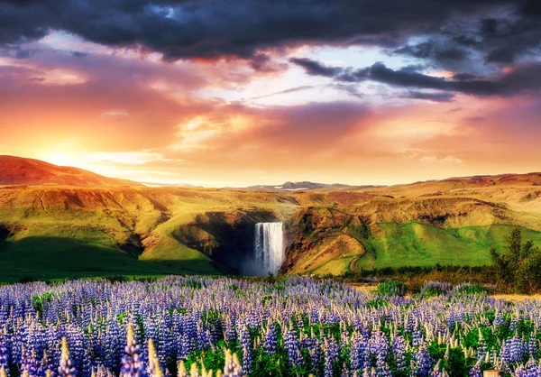 Великий Водоспад Skogafoss Південь Від Ісландії Поблизу Міста Skogar Дикі — стокове фото