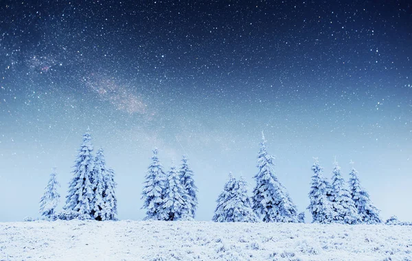 Kış Ormanda Süt Uzay Yolu Dramatik Güzel Sahne Karpat Ukrayna — Stok fotoğraf