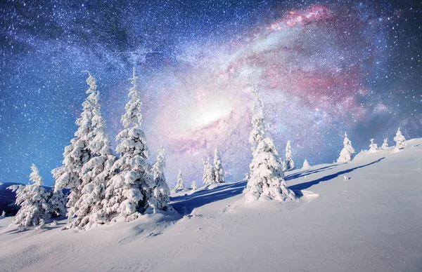Sterrenhemel Besneeuwde Winternacht Fantastische Melkweg New Year Eve Melkweg Een — Stockfoto