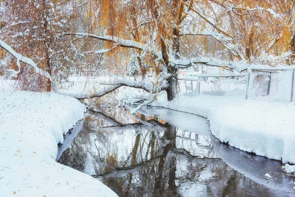 Río Invierno Hermoso Día Cárpatos Ucrania Europa — Foto de Stock