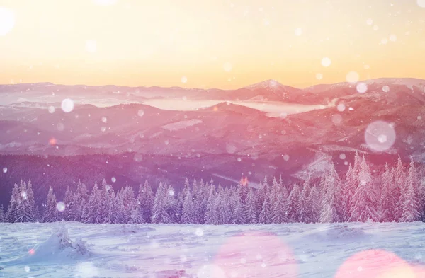 Magisch Winterlandschap Achtergrond Met Sommige Zachte Hoogtepunten Sneeuw Vlokken Dramatische — Stockfoto