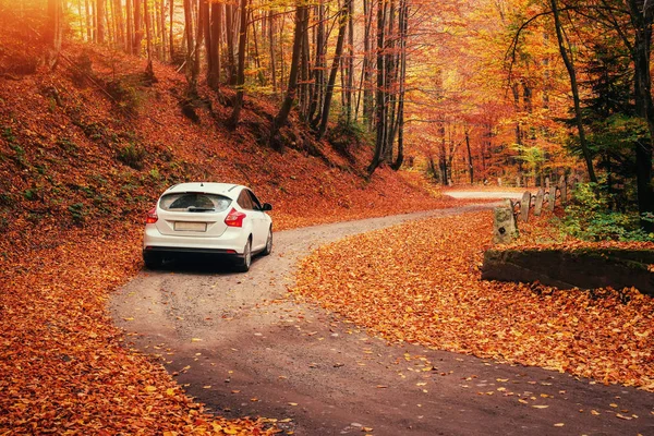 Car Forest Path Autumn Landscape Ukraine Europe — Stock Photo, Image