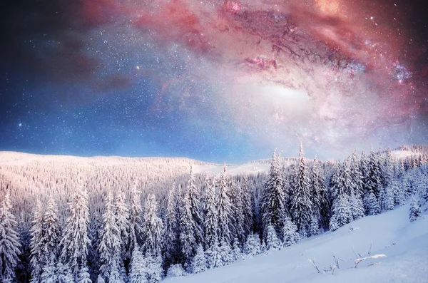 starry sky in winter snowy night. fantastic milky way in the New Year\'s Eve. The Milky Way is a fantastic New Year\'s Eve. Courtesy of NASA.