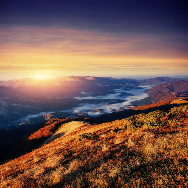 Dikke Mist Bergpas Goulet Georgia Svaneti Europa Caucasus Mountains — Stockfoto