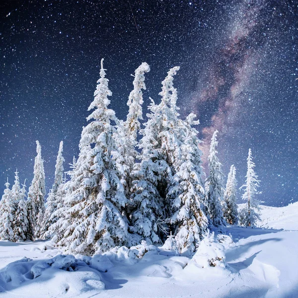 Ciel Étoilé Hiver Nuit Enneigée Fantastique Voie Lactée Dans Saint — Photo