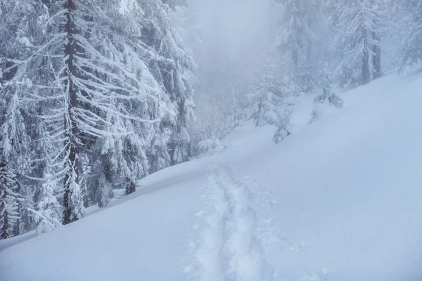 Fantastyczne Zimowy Krajobraz Kroki Coś Prowadzi Góry Mroźny Słoneczny Dzień — Zdjęcie stockowe
