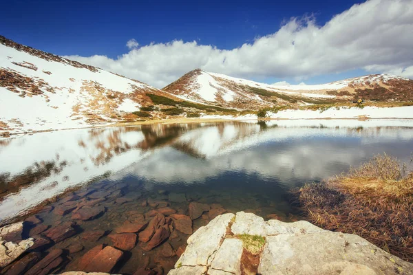 Bergmeer Reflectie Voor Sky Water Lente Landschap Karpaten Oekraïne Europa — Stockfoto