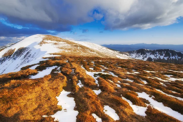 神秘的冬季景观雄伟壮观的山脉 神奇的冬雪覆盖的树 戏剧性的冬季场面 喀尔巴阡山 乌克兰 — 图库照片
